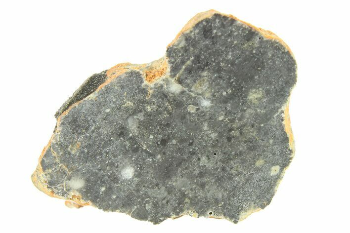 Lunar Meteorite ( g) Slice - Bechar #291708